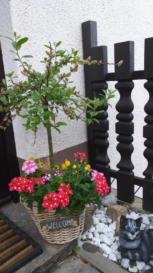 Ferienwohnung Am Steinbachtal ทาเลอ ภายนอก รูปภาพ