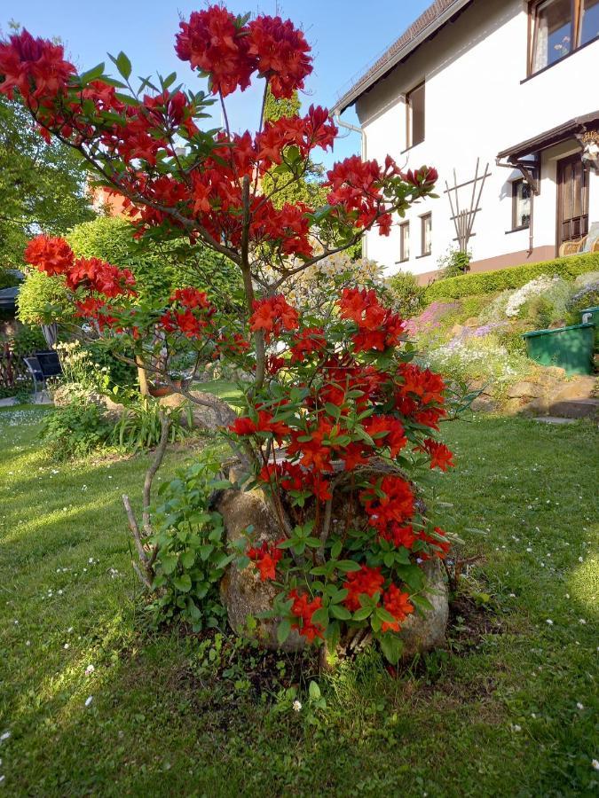 Ferienwohnung Am Steinbachtal ทาเลอ ภายนอก รูปภาพ