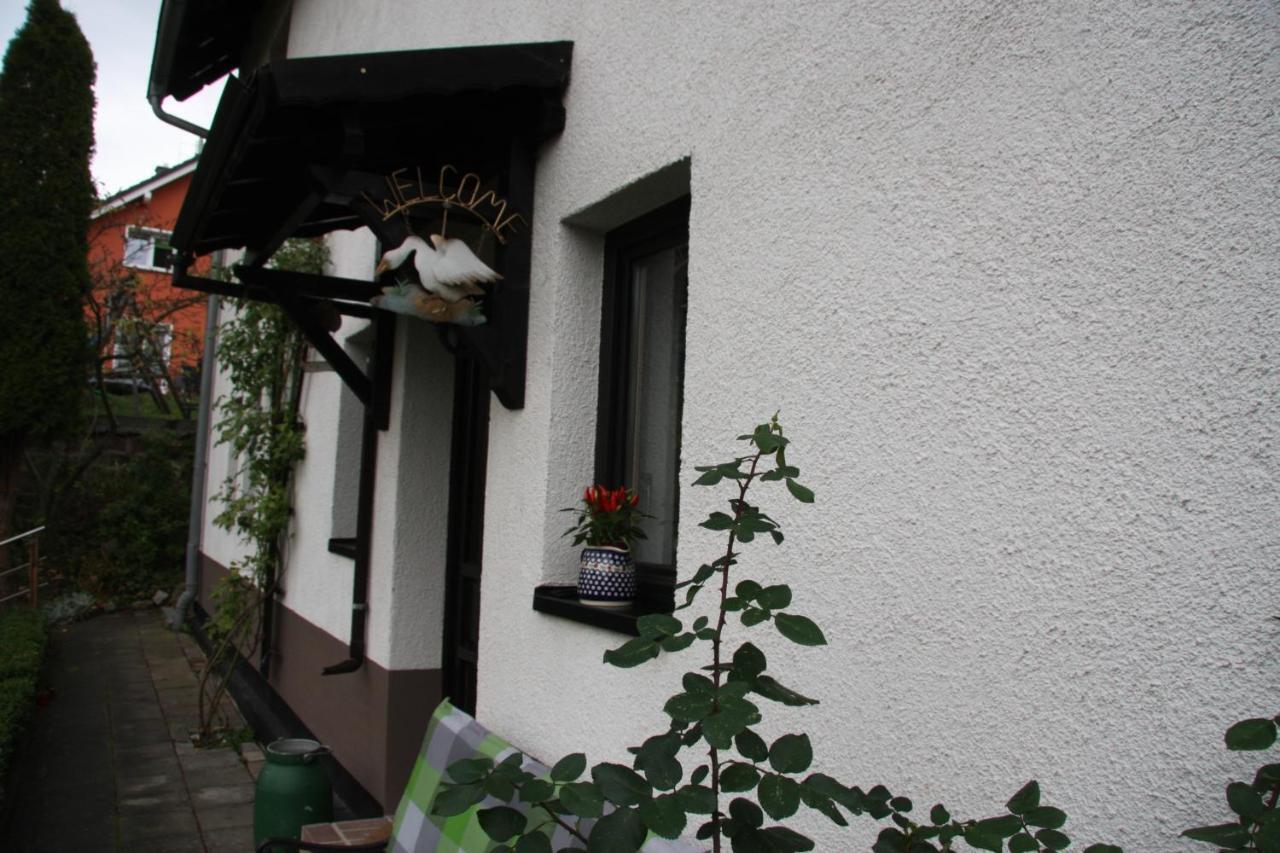 Ferienwohnung Am Steinbachtal ทาเลอ ภายนอก รูปภาพ