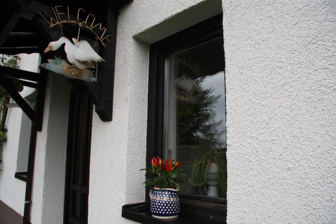 Ferienwohnung Am Steinbachtal ทาเลอ ภายนอก รูปภาพ